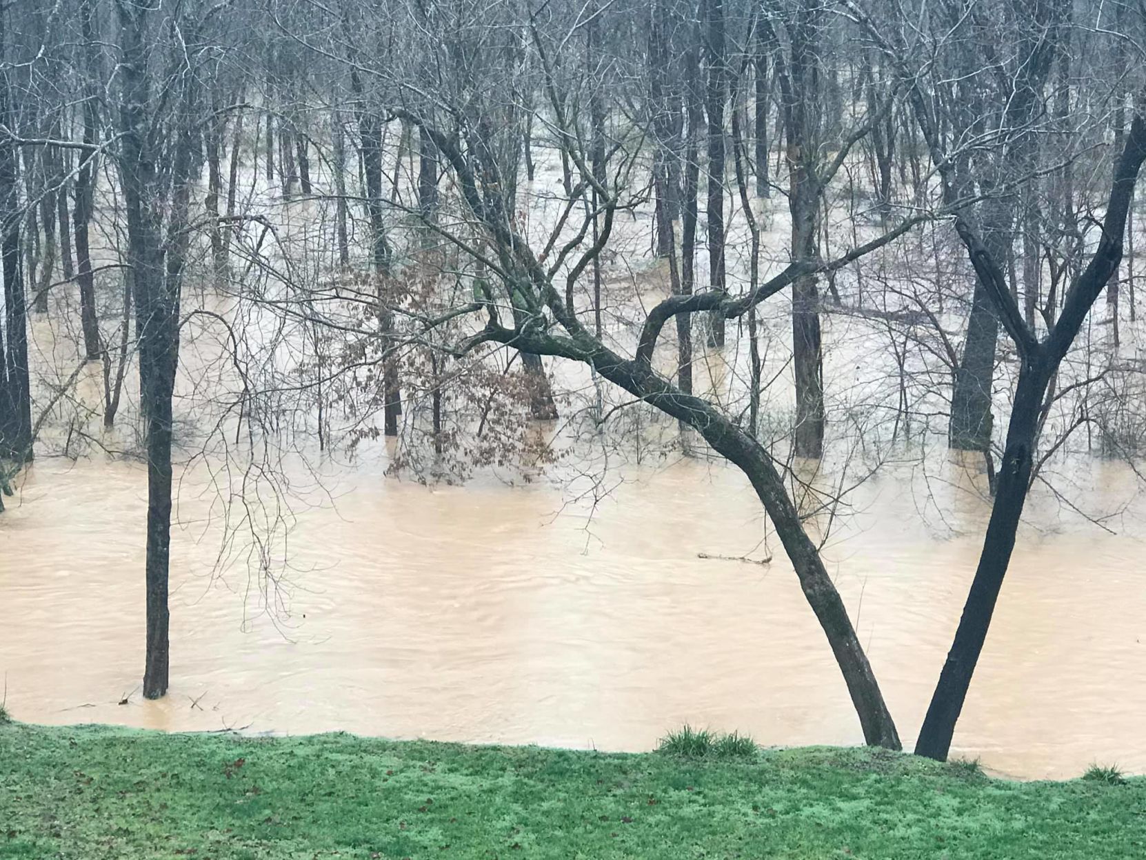 muddy creek 2.jpg